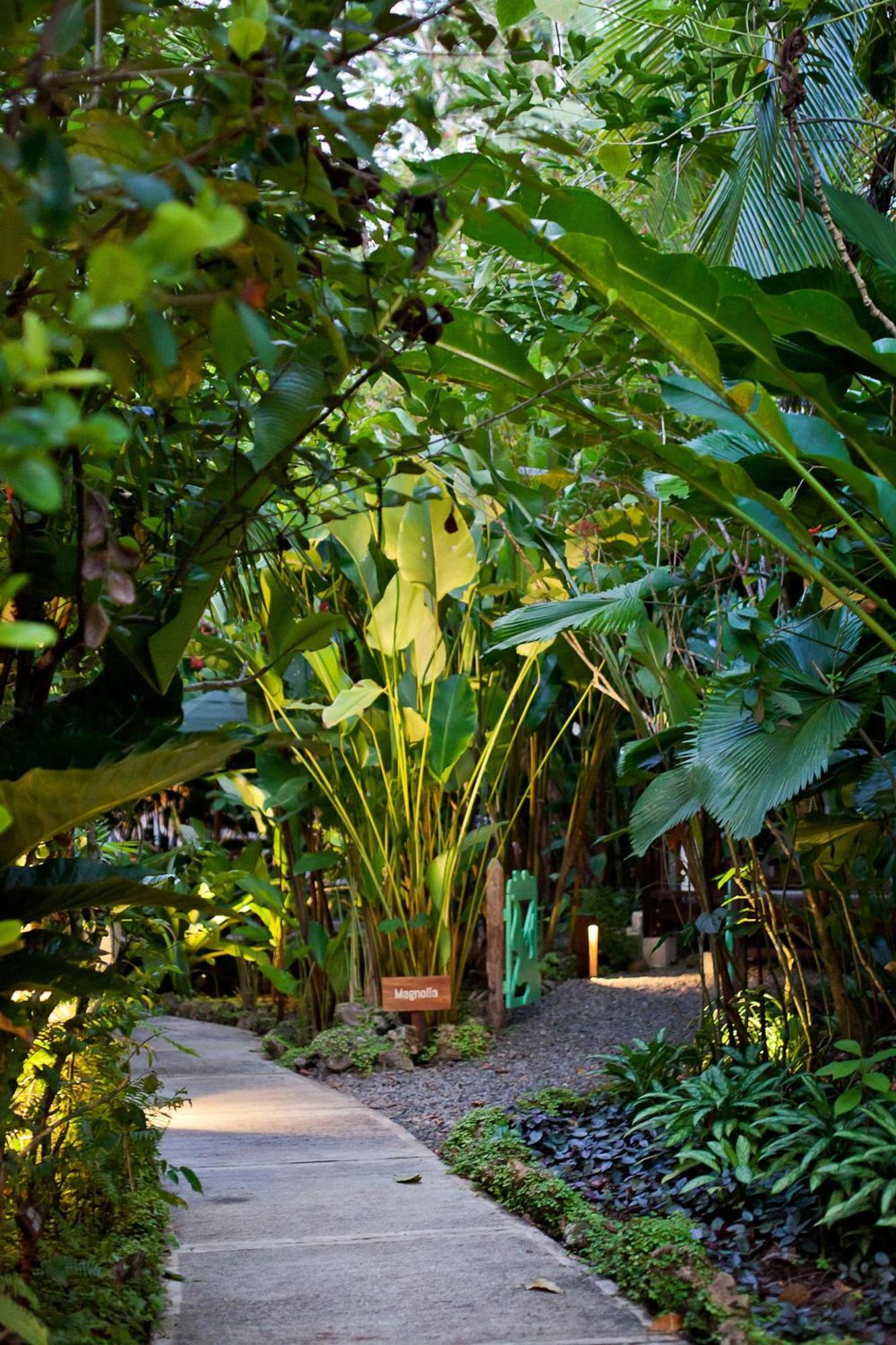 Hotel Aguas Claras Member Of The Cayuga Collection Puerto Viejo de Talamanca Экстерьер фото
